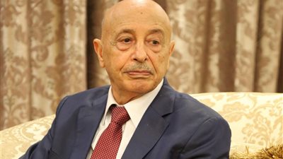 مجلس النواب الليبي يعقد أول جلسة له بعد إعلان الهدنة بين الجيش والحكومة