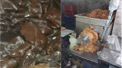 ضبط 28 طن حنة وتمر هندي غير صالحين للاستهلاك بالجيزة