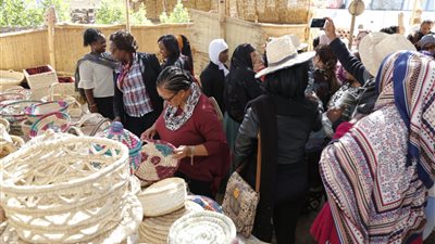 30 سيدة من القيادات المعنية لـ «تمكين المرأة الريفية الإفريقية» تزور الفيوم