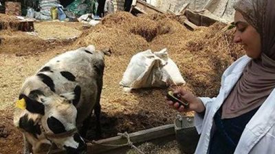 خبير اقتصادى يشيد بحملات الزراعة في التصدى لمرض الجلد العقدي