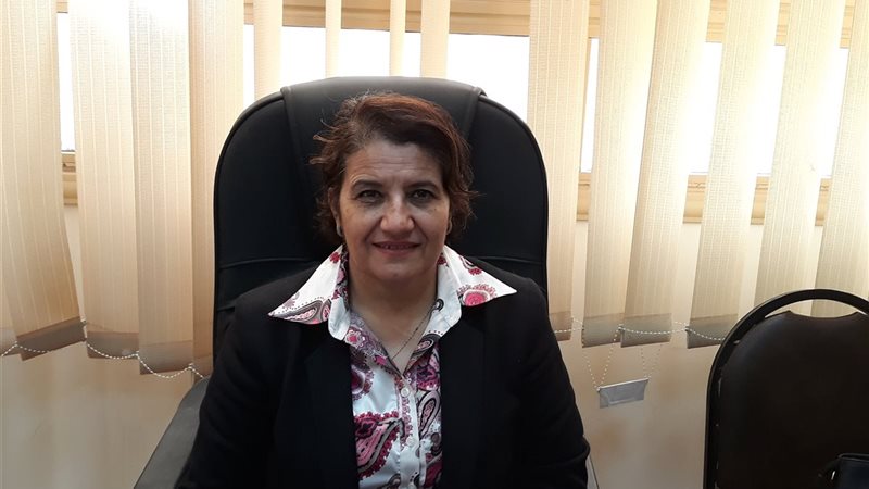 وكيل وزارة الثقافة