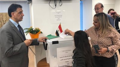 مصريون واشنطن وأوتاوا ونيويورك يبدأون التصويت على التعديلات الدستورية 2019 