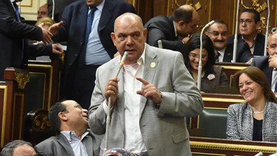 النائب محمد ماهر عن الاستفتاء: الشعب المصري يكتب تاريخ جديد للدولة