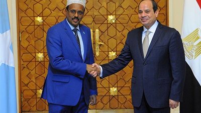 السيسي يلتقي «محمد عبدالله فرماجو» لبحث المستجدات وتعزيز التعاون 