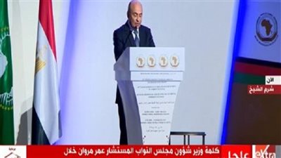 وزير شئون النواب: الانتماء لقارة إفريقيا مصدر فخر للمصريين