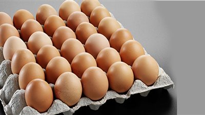 بالأرقام.. تعرف على أسعار البيض اليوم الأربعاء 