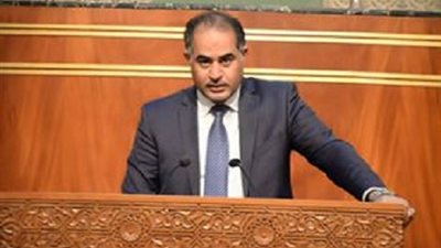 وكيل النواب: المصريين أبهروا العالم بنتيجة التعديلات الدستورية 2019