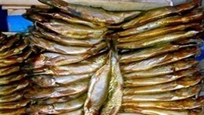 ضبط 160 كيلو أسماك غير صالحة للاستهلاك الآدمي بالبحيرة