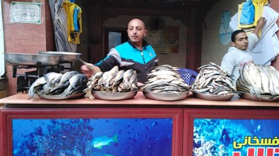 «سوق الفسيخ بطنطا».. العشق الممنوع والأهالي : جينا من القاهرة مخصوص