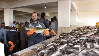 هذه أسعار السمك غدا الأحد في سوق العبور