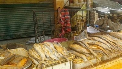 ضبط طن ونصف أسماك غير صالحة قبل بيعها للمواطنين بالمنوفية