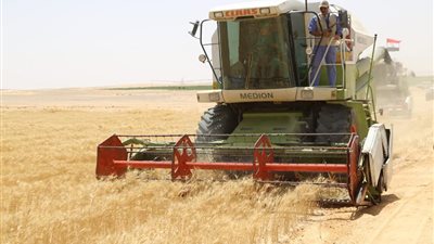 كواليس افتتاح وزير الزراعة لـ حصاد القمح في «مشروع غرب المنيا»