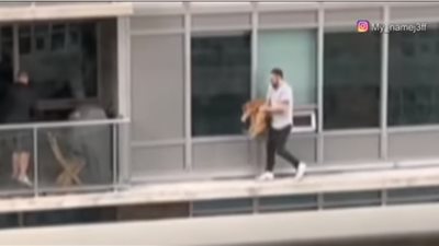 شاب يعرض نفسه للخطر من أجل قطة.. بـ «100 رجل»  