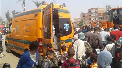 إصابة شاب أمام حديقة الحيوان بإحتفالات شم النسيم ببني سويف
