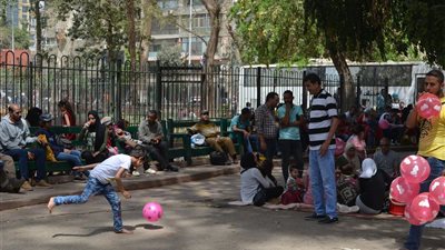 فيديو| «كلب البحر» يداعب زوار حديقة حيوان الجيزة