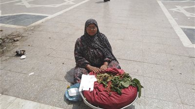 صور| ستات مصر الشقيانة.. هكذا ساندت «بائعة التوت» زوجها المريض