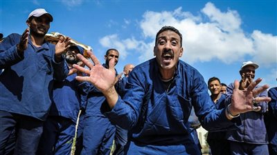 الإفراج عن 585 من نزلاء السجون بمناسبة عيد تحرير سيناء