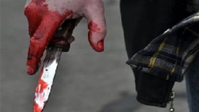 عطفت على سايس فقتلها.. ضبط قاتل ربة منزل داخل مسكنها بمدينة نصر