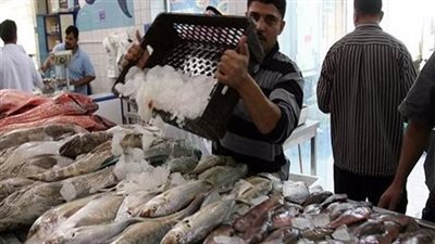 تعرف على توقعات أسعار السمك غدا الجمعة في سوق العبور