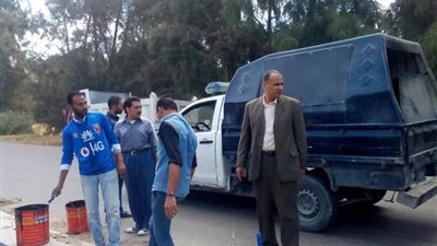 سكرتير مساعد الإسكندرية يترأس حملة إزالة في العامرية