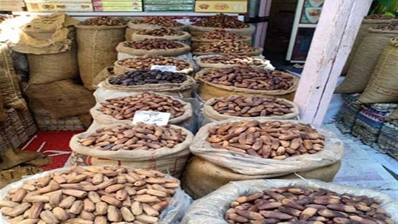 أسعار البلح اليوم