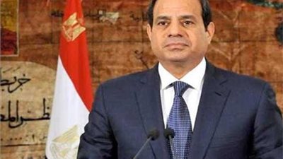  السيسي يبحث تطوير قدرات الدولة من خلال منظومة التحول الرقمي