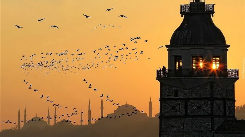  شهر رمضان 2019 