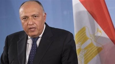 شكري يبحث مع نظيره الفرنسي تنمية العلاقات الثنائية بين البلديّن