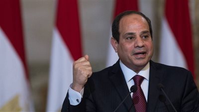 السيسي يتفقد استاد القاهرة استعدادا لانطلاق بطولة أمم أفريقيا 2019