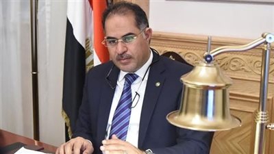 وكيل النواب: تصريحات أردوغان تجاوزت كل الخطوط الحمراء