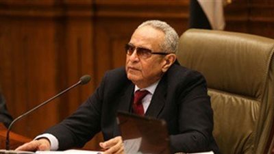 حزب الوفد: تصريحات أردوغان تزيد المصريين إصرارا وعزيمة