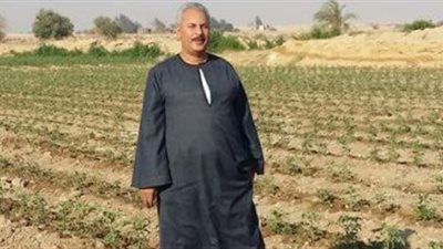 نقيب الفلاحين:انخفاص أسعار الطماطم يسبب للمزارعين خسائر فادحة