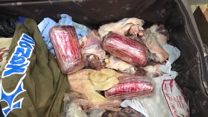 إحباط محاولة تهريب