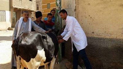 بدء حملة التحصين ضد الحمى القلاعية والوادي المتصدع على مستوى الجمهورية