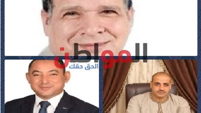 نتائج الحصر العددي لانتخابات مجلس النواب بجولة الإعادة بالدائرة الثالثة في أسيوط