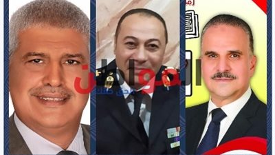 نتائج الحصر العددي لانتخابات مجلس النواب بجولة الإعادة بالدائرة الأولى في أسيوط