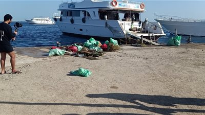 شاهد.. استخراج 2 طن مخلفات ضمن مبادرة شبابية لتنظيف قاع البحر الأحمر بالغردقة
