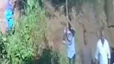 لخلافهم علي قطعة أرض.. مشاجرة بالشوم والعصا بـ