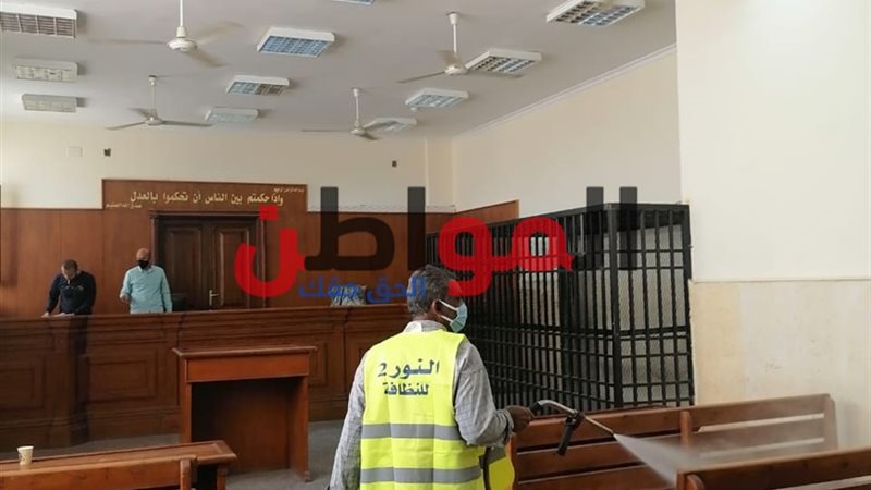 المواطن