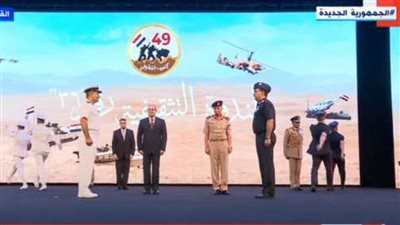 السيسي يرقي قائدي القوات البحرية والجوية ويوجه التحية لأسر الشهداء
