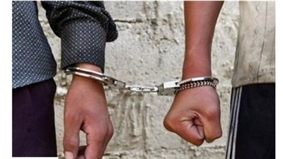 استمرار حبس المتهمين بالتعدي على مسن بكلب شرس بالجيزة