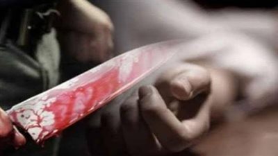 الحكم على المتهم بقتل زميله في شبرا الخيمة بالسجن المشدد 15 عاما