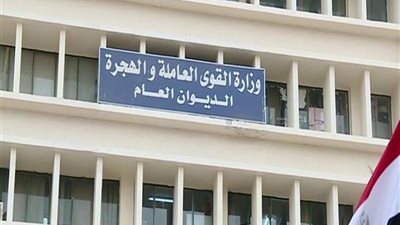 وزير القوى العاملة: توفير أكثر من 5 آلاف فرصة عمل للشباب بمحافظة الشرقية 