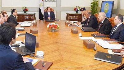 الرئيس السيسي يوجه بالتوسع في صناعة الأسمدة الأزوتية 