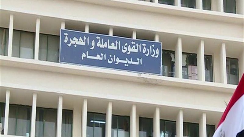 وزارة القوي العاملة