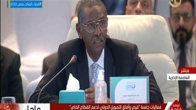 نادر محمد: مصر تستفيد من خدمات البنك الدولي للإنشاء والتعمير