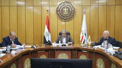 وزير القوى العاملة: صرف 2.1 مليار جنيه إعانات للعاملين في 3962 منشأة متعثرة
