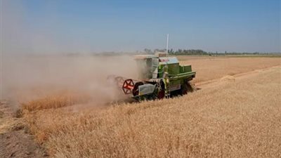 تعليق اتفاق تصدير الحبوب لأوكرانيا.. والكرملين توضح ذلك 