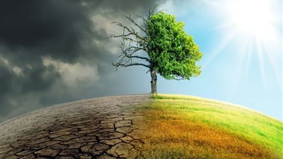ضروري لإنقاذ البشرية.. تعرف على أهمية 