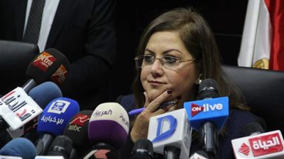 وزير التخطيط: 